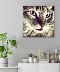 tablou canvas Feline Beauty NWA 016 mockup