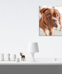 tablou canvas Hello NWA 012 mockup
