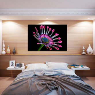 tablou canvas African Daisy NFL 007 mockup 2 1
