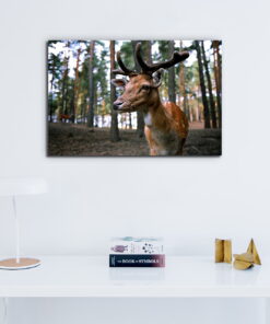 tablou canvas Bambi NWA 005 mockup 1