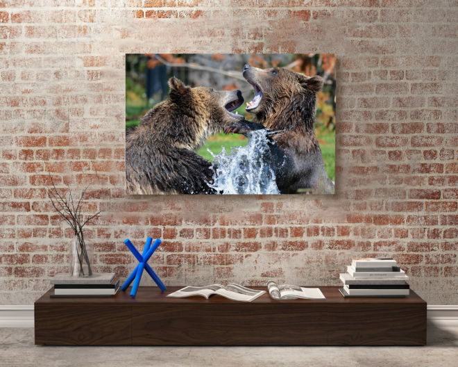 tablou canvas Bear Fight NWA 021 mockup 1
