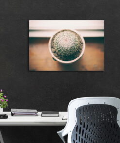 tablou canvas Cactus NFL 009 mockup 1