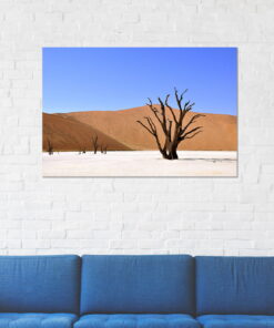 tablou canvas Desert trees NLS 020 mockup 2 1