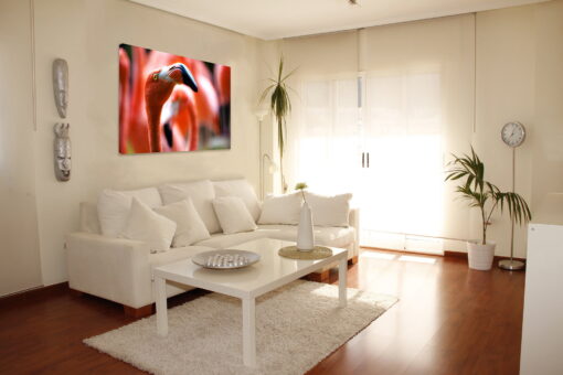 tablou canvas Flamingo eye NBR 005 mockup 1
