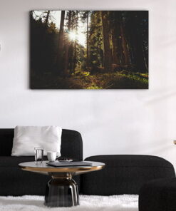 tablou canvas Forest sunlight NLS 001 mockup 2 1