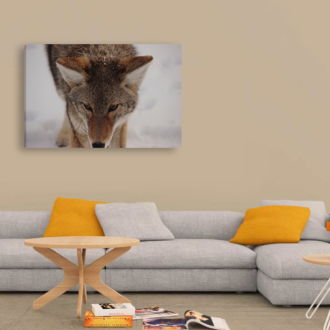 tablou canvas Foxy NWA 002 mockup 1