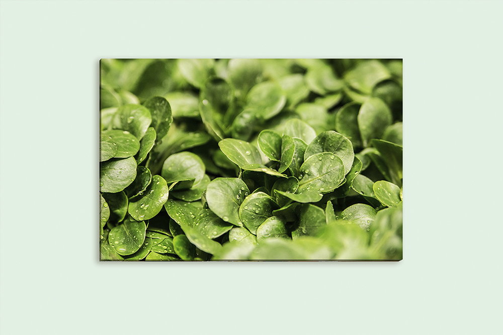 tablou canvas Fresh Leaves FVE 007 mockup 1 tablou canvas Fresh Leaves FVE 007 mockup 1