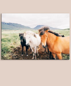 tablou canvas Horses NWA 008 mockup 1
