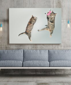 tablou canvas Jumping Cats NWA 011 mockup 1
