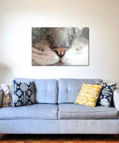 tablou canvas Kitty Nose NWA 015 mockup 2 1