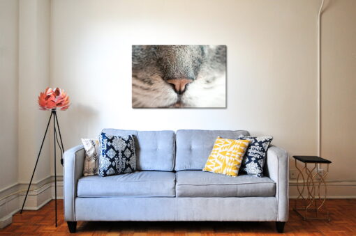 tablou canvas Kitty Nose NWA 015 mockup 2 1