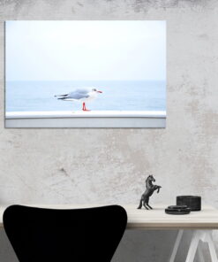 tablou canvas Lonely bird NBR 006 mockup 1