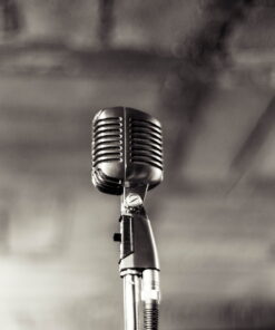 tablou canvas Microphones LMU 011 1