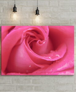 tablou canvas Pink Rose NFL 008 mockup 1