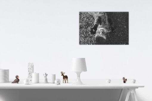 tablou canvas Play with Me NWA 014 mockup 1
