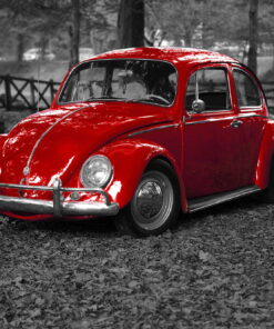 tablou canvas Red Beetle TOR 011 1