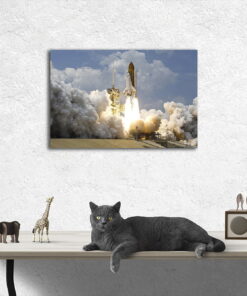 tablou canvas Rocket Launch TSP 004 mockup 1