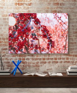 tablou canvas Roseship NFL 004 mockup 1