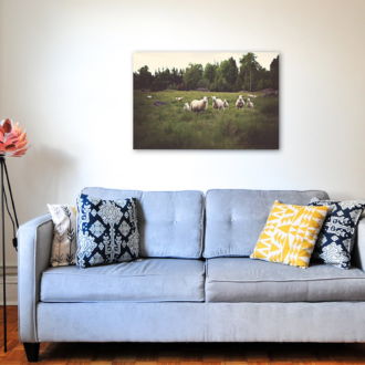 tablou canvas Sheeps and Lambs NWA 006 mockup 1