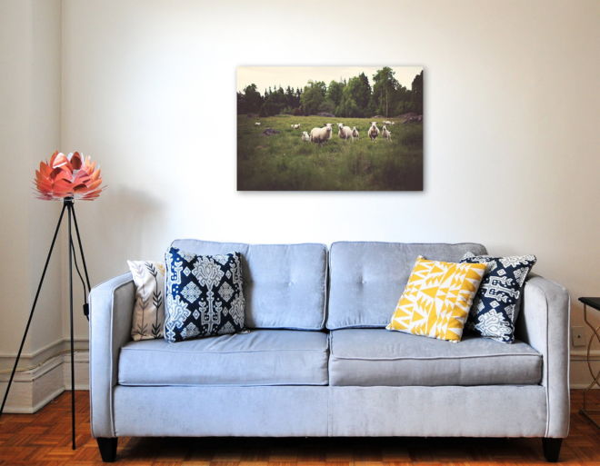 tablou canvas Sheeps and Lambs NWA 006 mockup 1