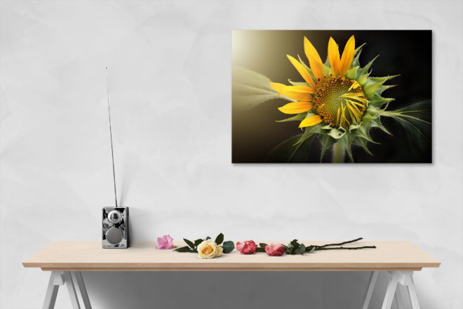 tablou canvas Sunflower NFL 015 mockup 2 1