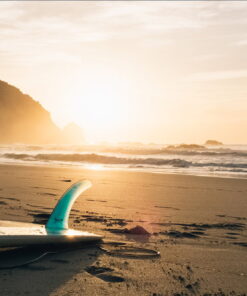 tablou canvas Surf Board LPS 007 1