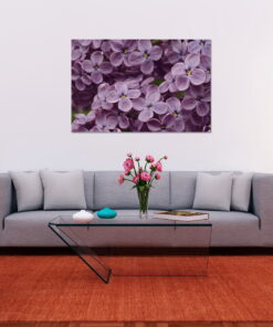 tablou canvas Syringa vulgaris NFL 016 mockup 1