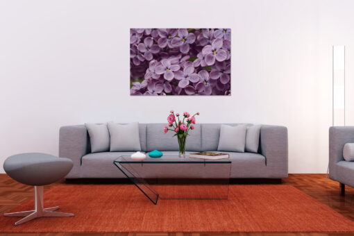 tablou canvas Syringa vulgaris NFL 016 mockup 1