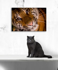 tablou canvas Tiger Eyes NWA 017 mockup 1