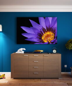 tablou canvas Violet water lily NFL 013 mockup 1