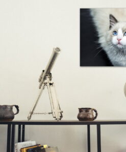 tablou canvas White kittie NWA 023 mockup 2 1