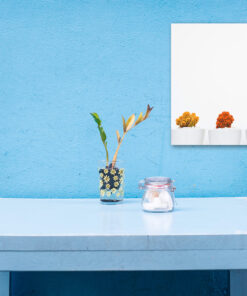 tablou canvas cactusi viu colorati NLF 023 mockup 2 1