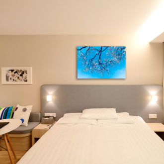 tablou canvas cer senin cu cires japonez inflorit NLF 025 mockup 2 1