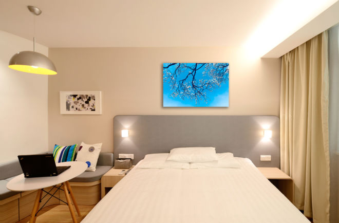 tablou canvas cer senin cu cires japonez inflorit NLF 025 mockup 2 1