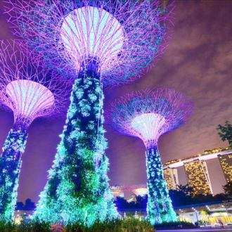 tablou canvas copacii artificiali din singapore UNL 040 1