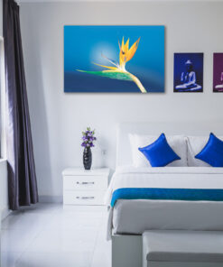 tablou canvas floarea pasarea paradisului NFL 033 mockup 1
