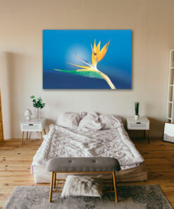 tablou canvas floarea pasarea paradisului NFL 033 mockup 2 1