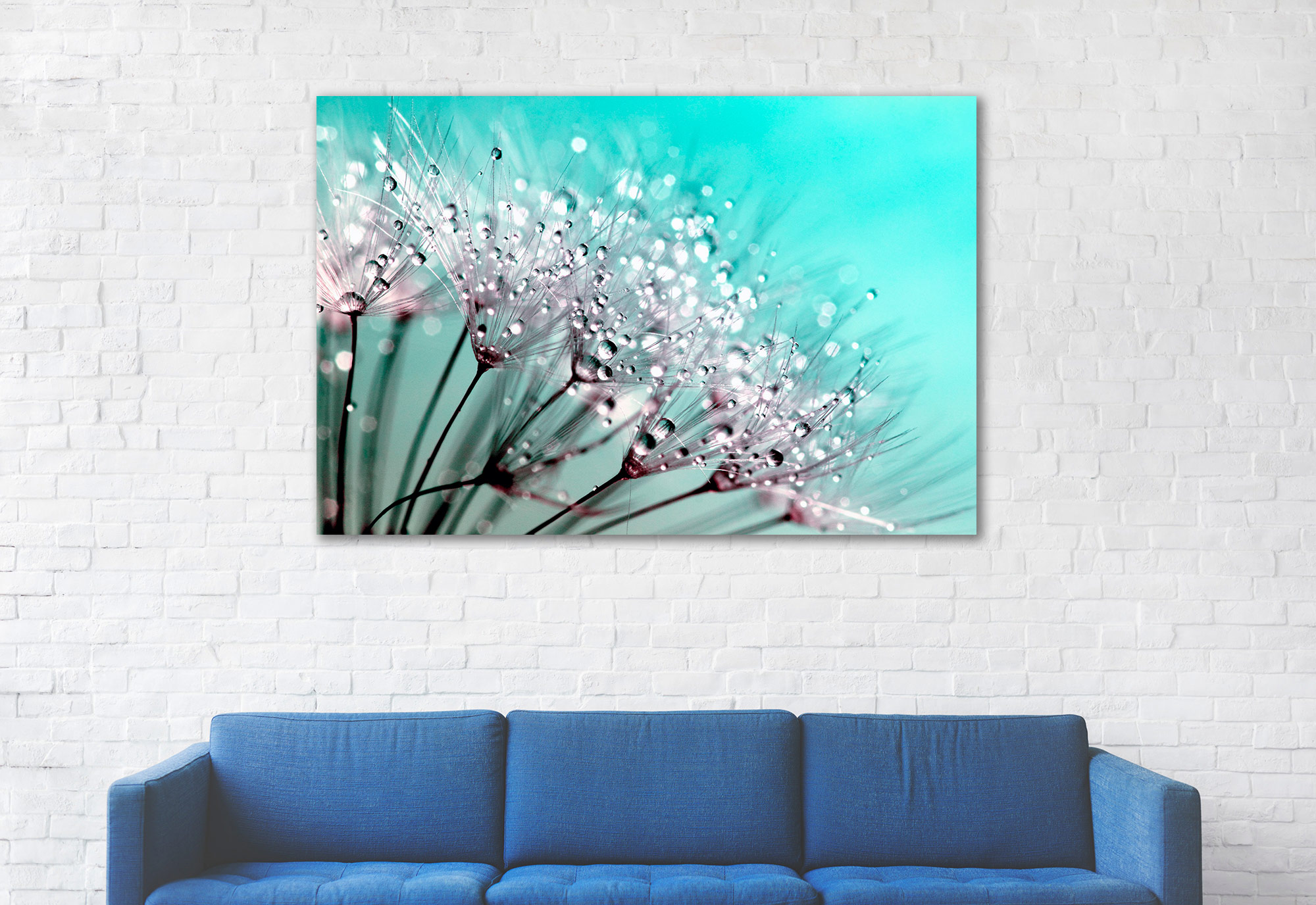 tablou canvas roua diminezii pe papadie NFL 019 mockup 1 tablou canvas roua diminezii pe papadie NFL 019 mockup 1