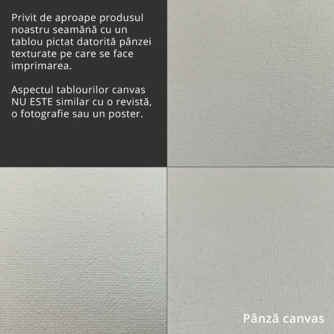 textura canvas tablou printat 1