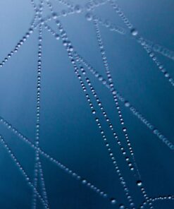 tablou canvas abstract ABSL 008