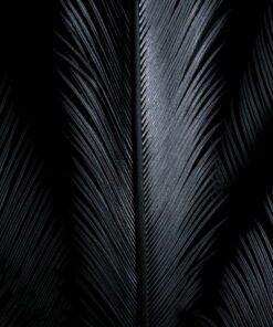 tablou canvas abstract alb negru ABWS 001