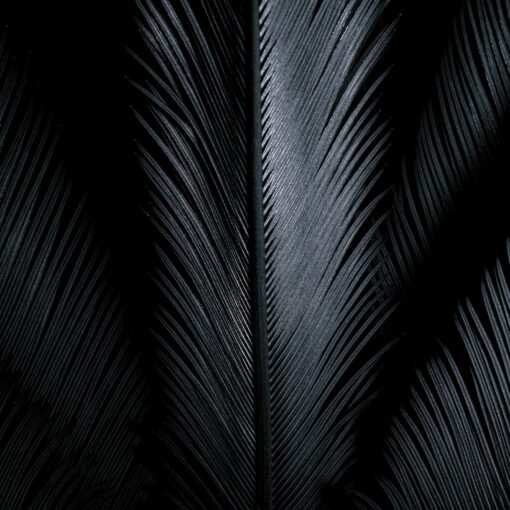 tablou canvas abstract alb negru ABWS 001