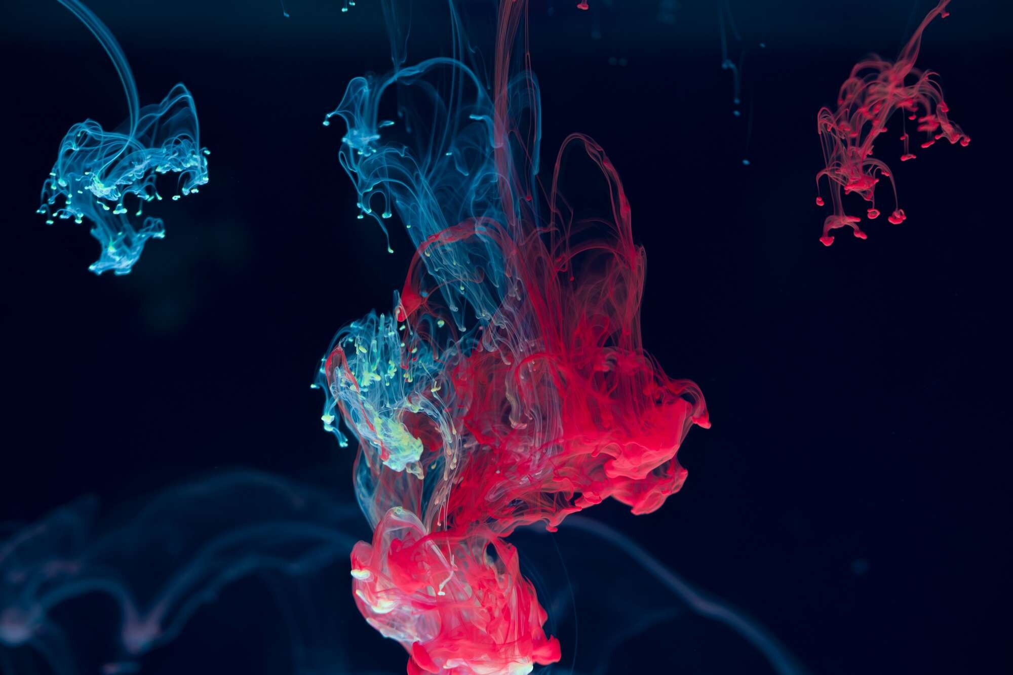 tablou canvas abstract culori ACOL 006 tablou canvas abstract culori ACOL 006