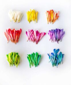 tablou canvas abstract culori ACOP 007