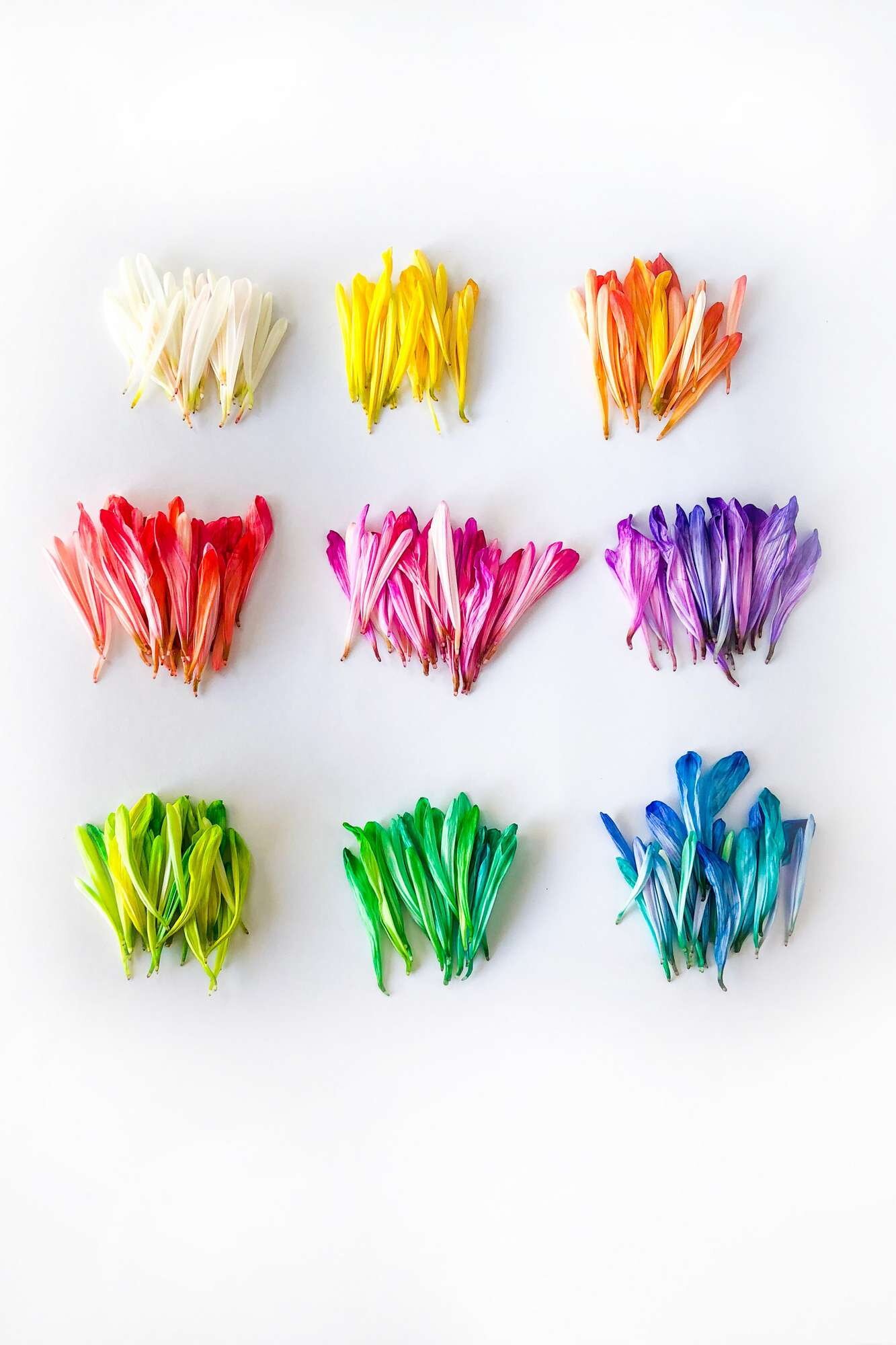 tablou canvas abstract culori ACOP 007 tablou canvas abstract culori ACOP 007